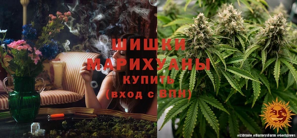 гашик Лихославль