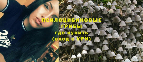 бошки Липки