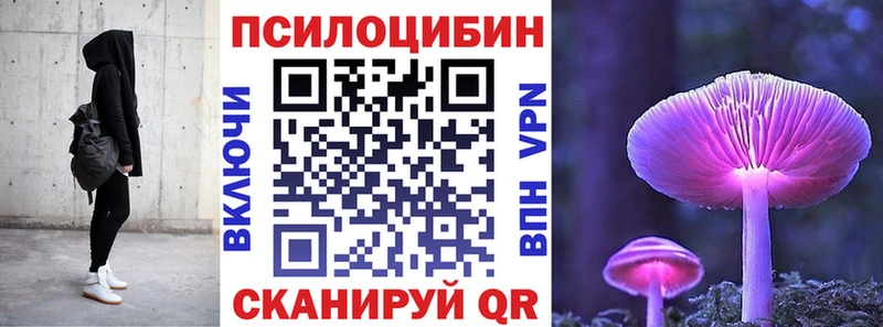Купить где  Далматово  Псилоцибиновые грибы Cubensis 